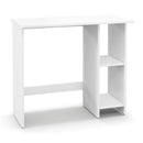 Small Computer Desk with Storage and Adjustable Shelf