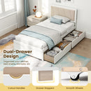 Solid Wood Structure Bed Frame with 2 Drawers Upholstered Headboard-Twin Size