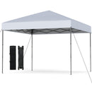 10 X 10 Feet Pop up Canopy Tent with Portable Carrying Bag and 8 Stakes