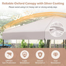 10 X 10 Feet Pop up Canopy Tent with Portable Carrying Bag and 8 Stakes