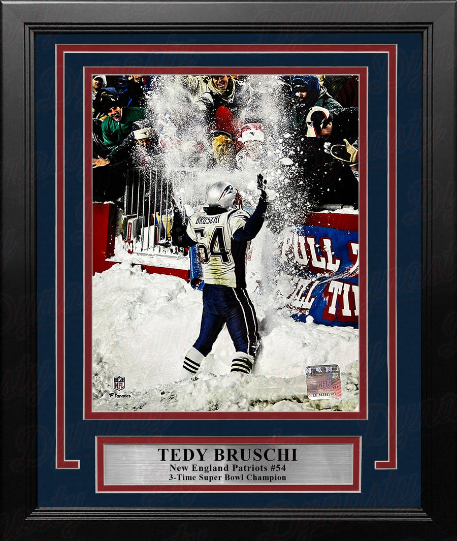 Tedy Bruschi Snow Celebration New England Patriots 8