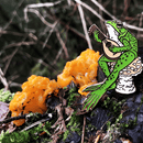 The Traveling Bard | Frog & Mushroom Enamel Pin