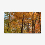 Spectrum of Seasons Playmat