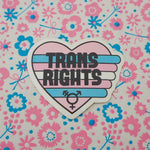 Trans Rights Vinyl Sticker