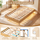 Twin/Full/Queen Size Floating Bed Frame with LED Lights for Bedroom