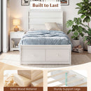 Twin Size Bed Frame with Storage Drawers and Headboard