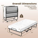 Twin Size Folding Bed with 5