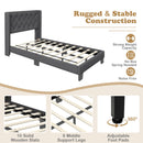 Twin/Full/Queen Size Upholstered Platform Bed with Button Tufted Headboard
