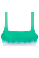 Ralph Lauren Womens Ombré Bikini Top, Size 6
