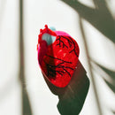 Velvet Claws Anatomical Heart Hair Clip | Red Heart Shaped Claw Clip