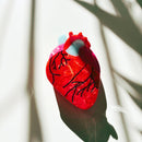 Velvet Claws Anatomical Heart Hair Clip | Red Heart Shaped Claw Clip