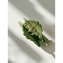 Velvet Claws Hair Clip | Green Leaf | Claw Clip in Velvet Travel Bag