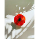 Velvet Claws Round Poppy Small Hair Claw | Claw Clip in Velvet Travel Bag