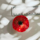 Velvet Claws Round Poppy Small Hair Claw | Claw Clip in Velvet Travel Bag