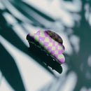 Velvet Claws Small Hair Clip | Checkered Disco Cloud in Lilac Hair Claw