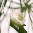 Velvet Claws Uptown Lady in White Dot Hair Clip | Claw Clip in Velvet Travel Bag