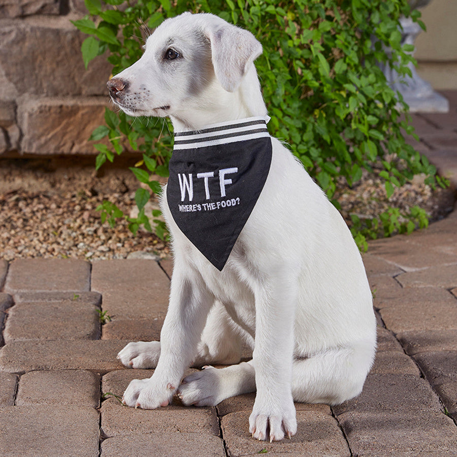 WTF - Where's The Food? Pet Bandana in Black | Cotton Pet Accessory | 9