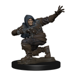 Pathfinder Battles: Human Rogue Male