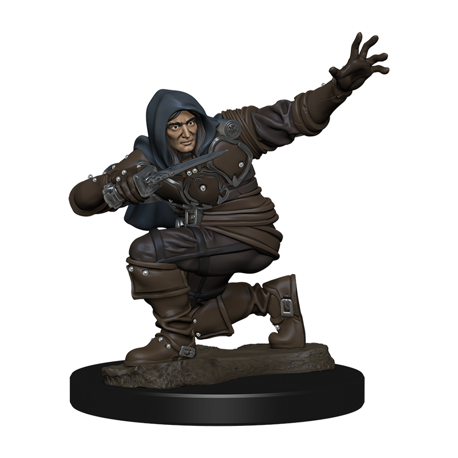 Pathfinder Battles: Human Rogue Male