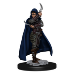 Pathfinder Battles: Human Rogue Female