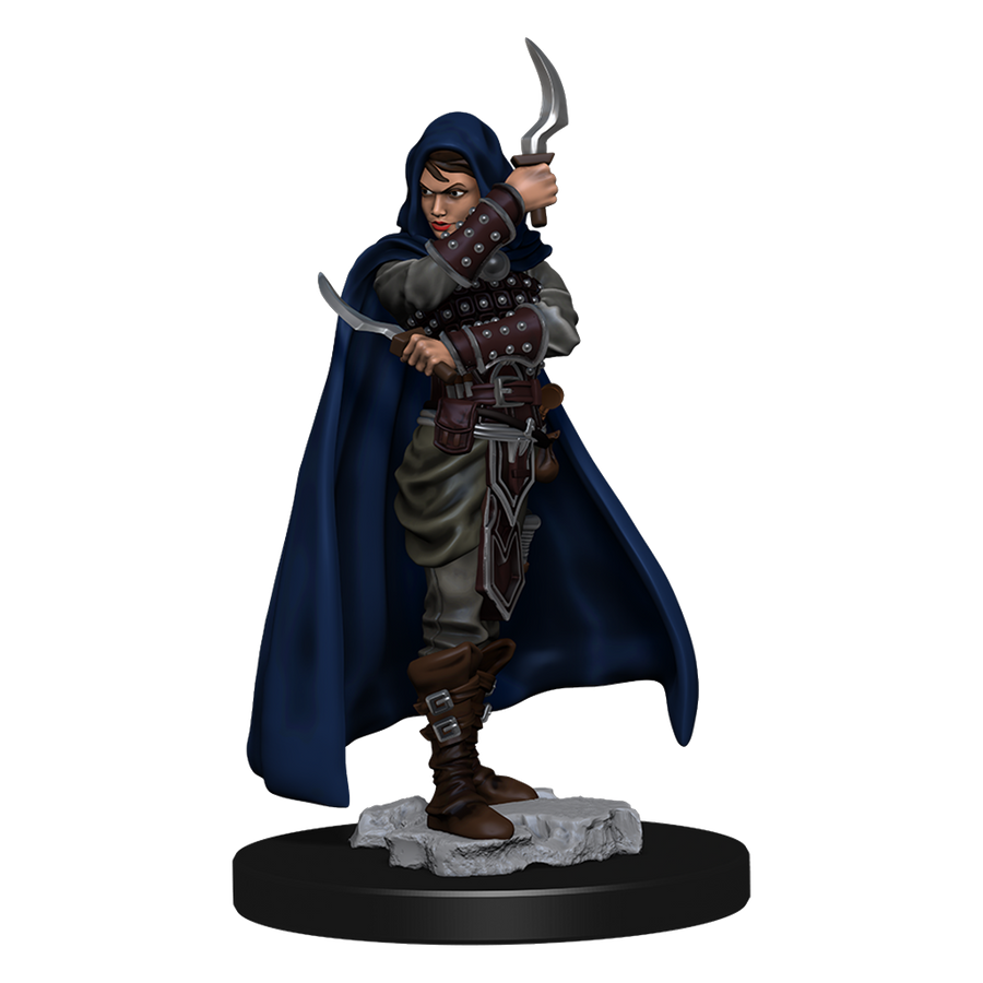 Pathfinder Battles: Human Rogue Female