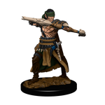 Pathfinder Battles: Half-Elf Ranger Male