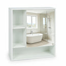 Wall-Mounted Mirror Cabinet with Hidden & Open Storage