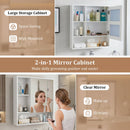 Wall-Mounted Mirror Cabinet with Hidden & Open Storage