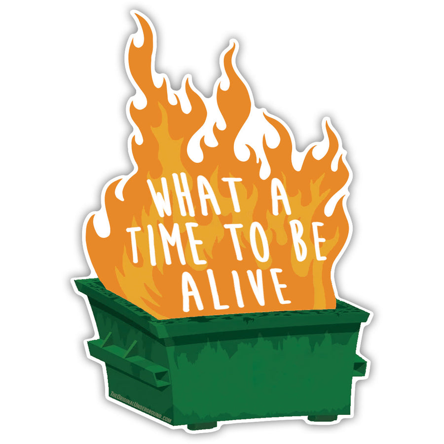 What a Time to Be Alive Car Magnet