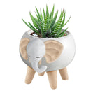 White Elephant Pot | Decorative Succulents Ceramic Planter  | 2.5" Tall