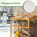 Wood Cold Frame Greenhouse with Transparent Openable Roof and Slatted Storage Shelf-Orange