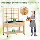 Wooden Mobile Raised Garden Bed on Wheels with Trellis