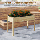 Wooden Raised Vegetable Garden Bed Elevated Grow Vegetable Planter