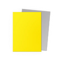 Dragon Shield: Yellow & Silver - Matte Dual Sleeves