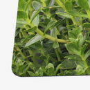 Sea Side Greenery Playmat