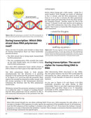 Make: Zero to Genetic Engineering Hero - Print