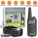 Rechargeable Dog Training Collar with Remote – 875 Yard Range