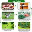 40in Live Animal Trap Cage - Humane Catch & Release
