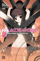 Accel World Vol 6 Light Novel