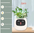 Smart AI Planter with Expressions and Sensors