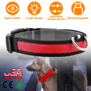 LED Dog Collar USB Rechargeable Adjustable Dog Safety Collar Night Safety Flashing Luminous Light up Collar
