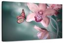 Butterfly Orchid Wall Art