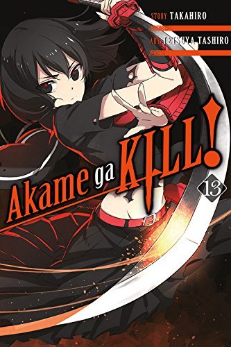 Akame Ga Kill! Vol 13