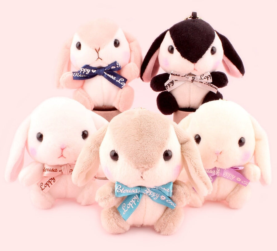 Amuse Poteusa Loppy Teddy Color Plush Doll Plushies Super Anime Store 