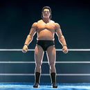 Andre the Giant IWA World Series 1971 Wrestling Ultimates 8" Action Figure Action & Toy Figures ToyShnip 