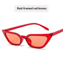 Small-frame Cat-eye Sunglasses Trendy And Stylish Shades