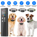 Dog Training Collar with Remote and Bark Control for Small Dogs
