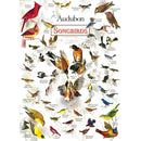 Audubon - Songbirds 1000 Piece Jigsaw Puzzle