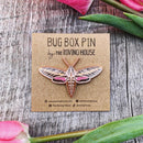 White-lined Sphinx Moth Pin