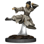 D&D: Icons of the Realms - Human Monk Female